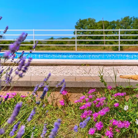 With Pool Near Split *